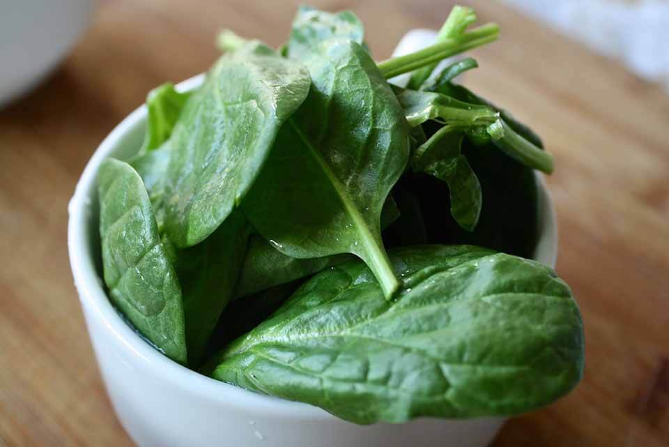 Spinach and Iron Absorption