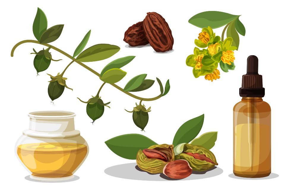 Jojoba Oil Benefits