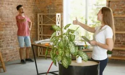 Safe and Healthy Home Environment