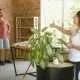 Safe and Healthy Home Environment