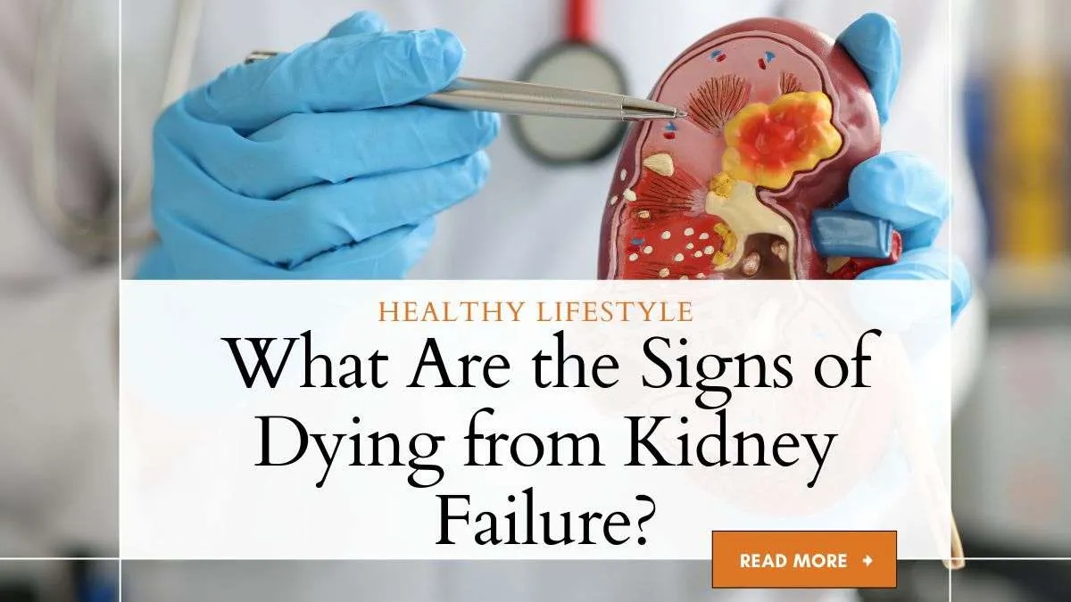 What Are the Signs of Dying from Kidney Failure? A Guide
